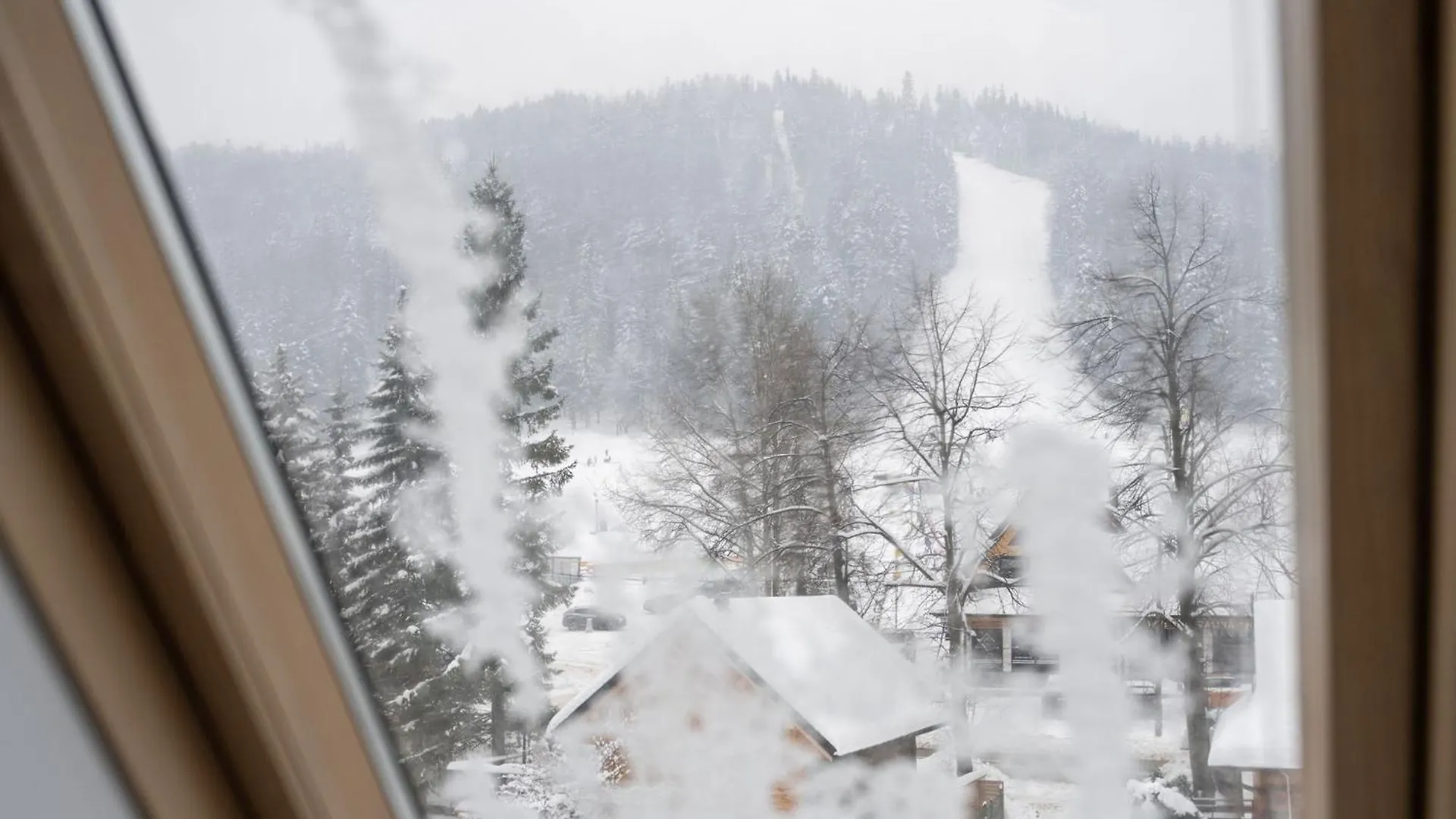 Villa Willa Polana Pod Nosalem Zakopane